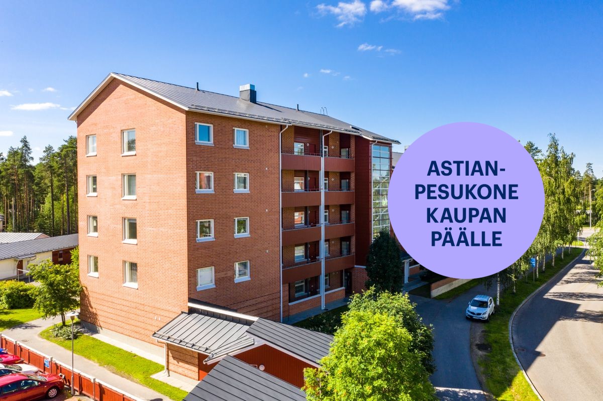 Kaksio, Oulu, Hiironen