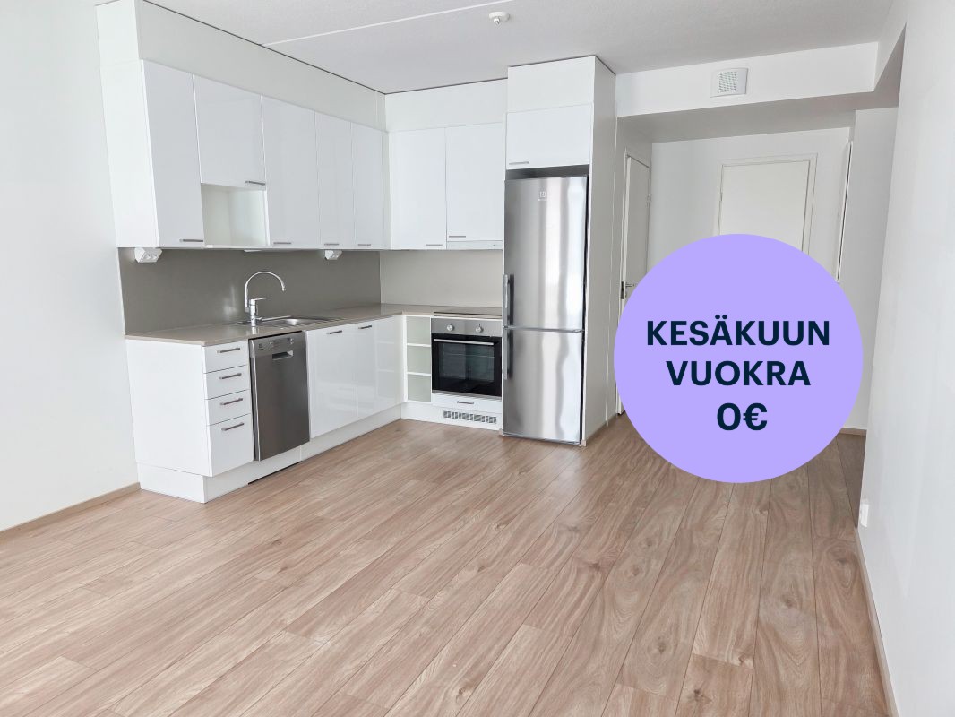 Kaksio, Turku, Pääskyvuori