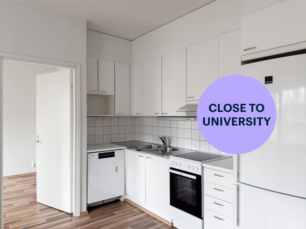1-bedroom apartment, Turku, Martti