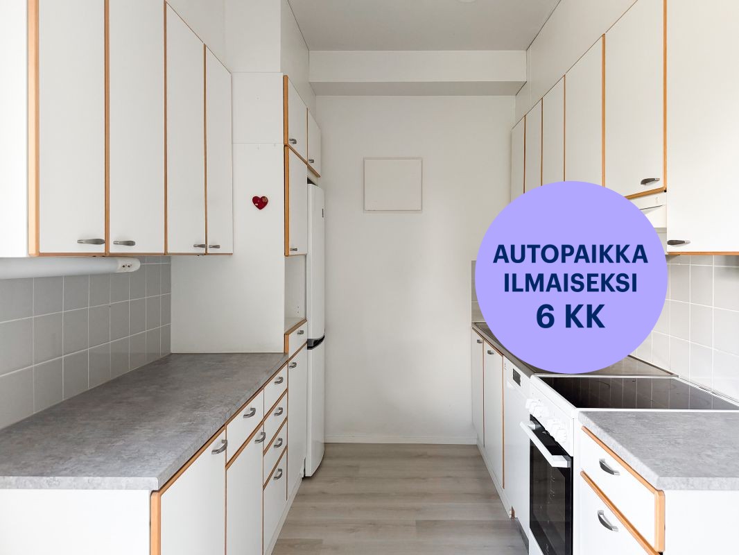 Kolmio, Turku, Pääskyvuori