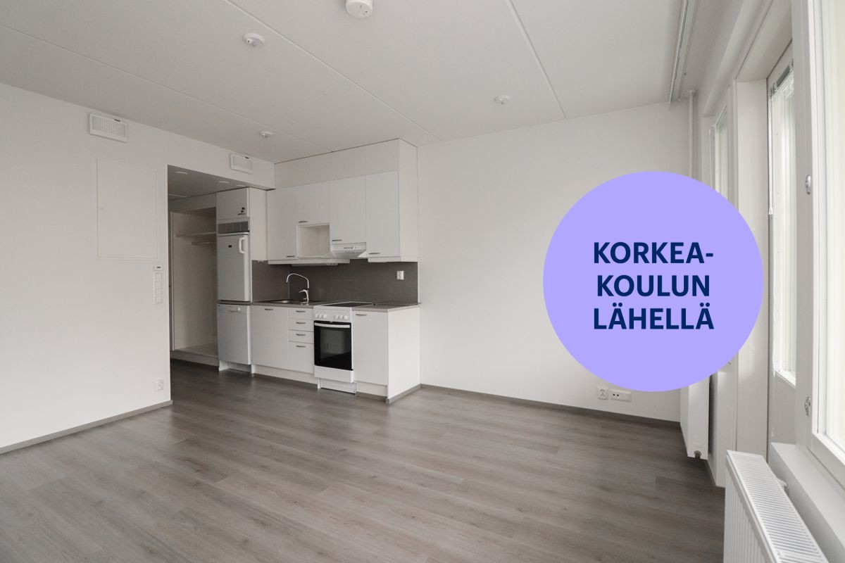 Yksiö, Kuopio, Puijonlaakso
