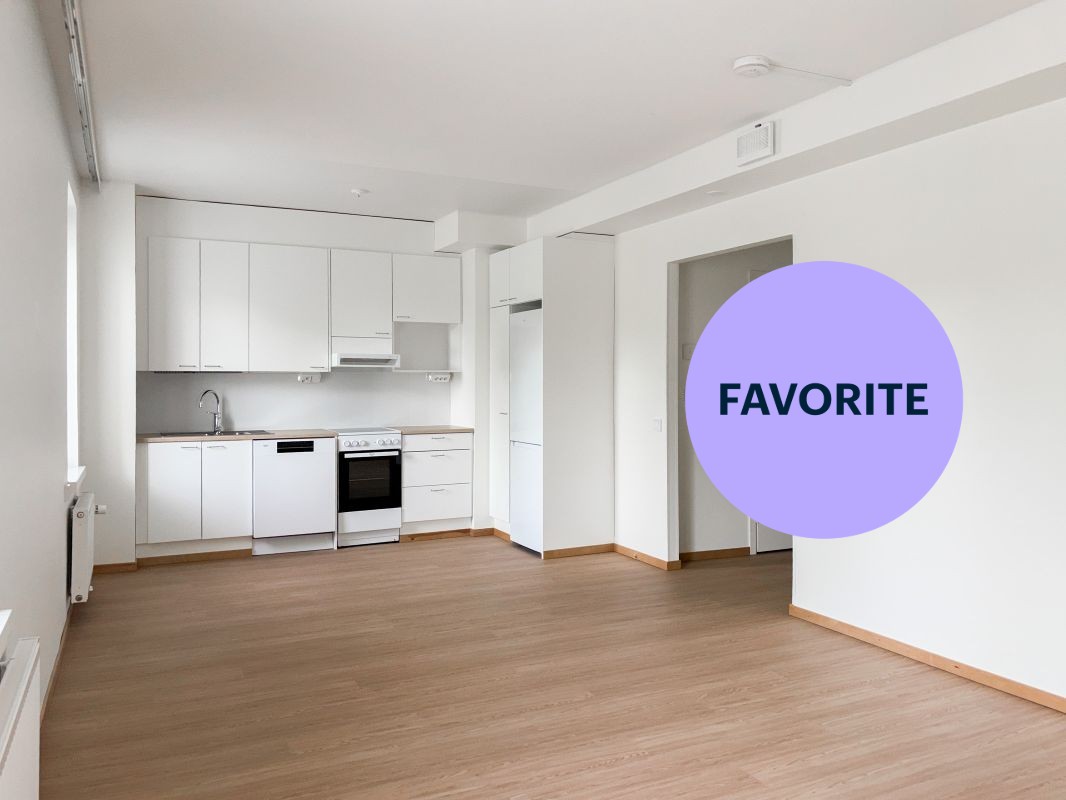 1-bedroom apartment, Jyväskylä, Keskusta