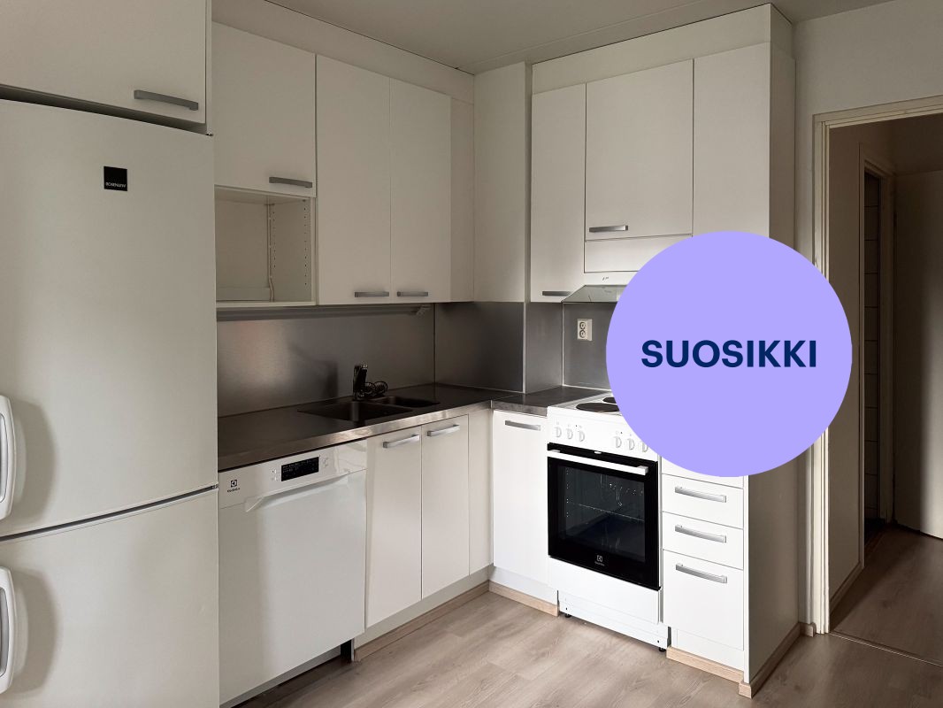 Kaksio, Turku, Halinen