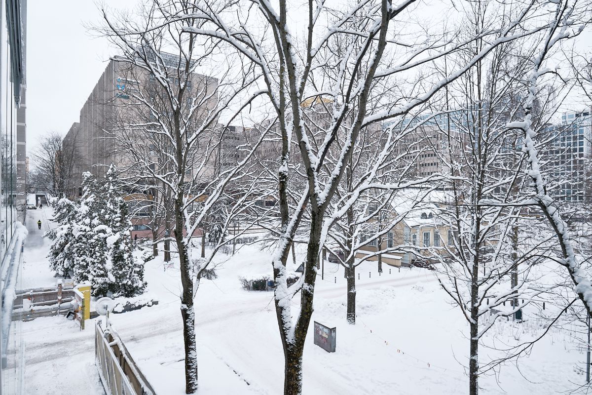 Yksiö, Helsinki, Pasila