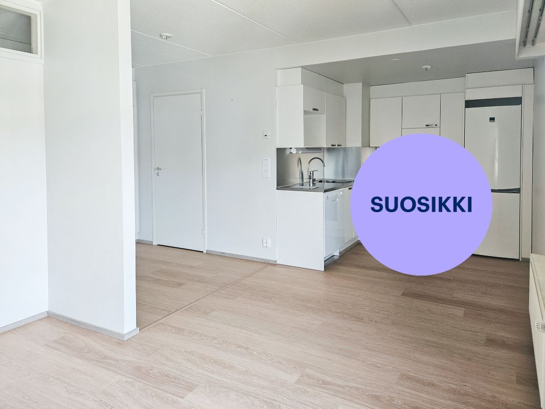 Yksiö, Tampere, Keskusta