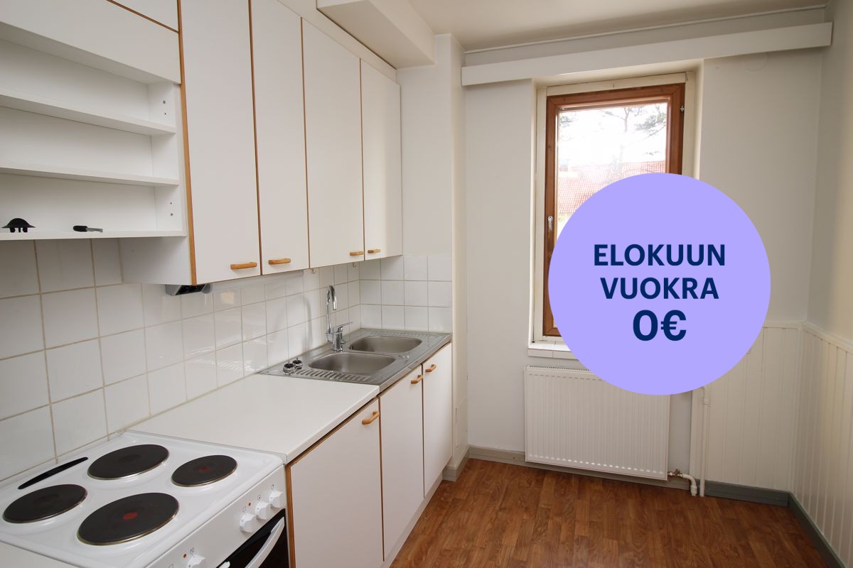 Yksiö, Hyvinkää, Mustamännistö