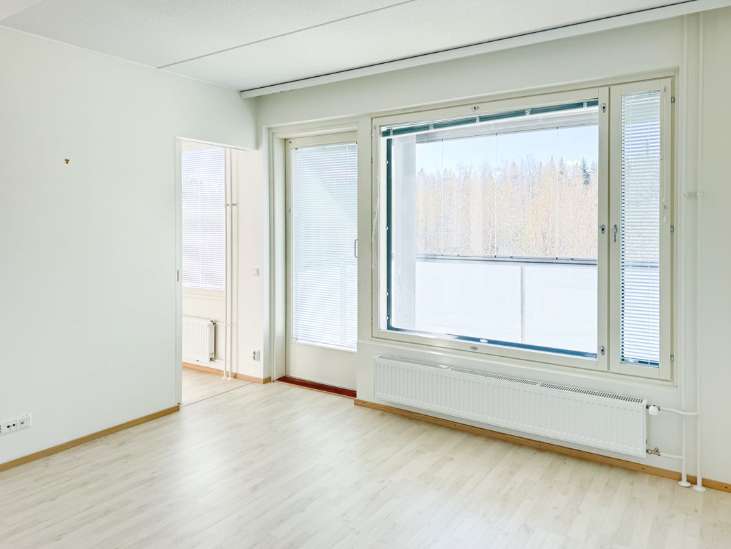 Kaksio, Tampere, Vuores