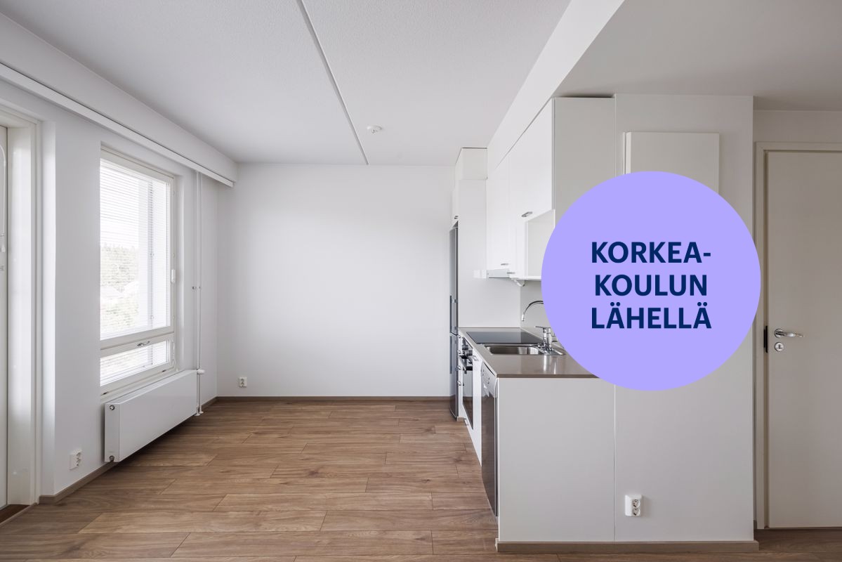 Kaksio, Turku, Pääskyvuori