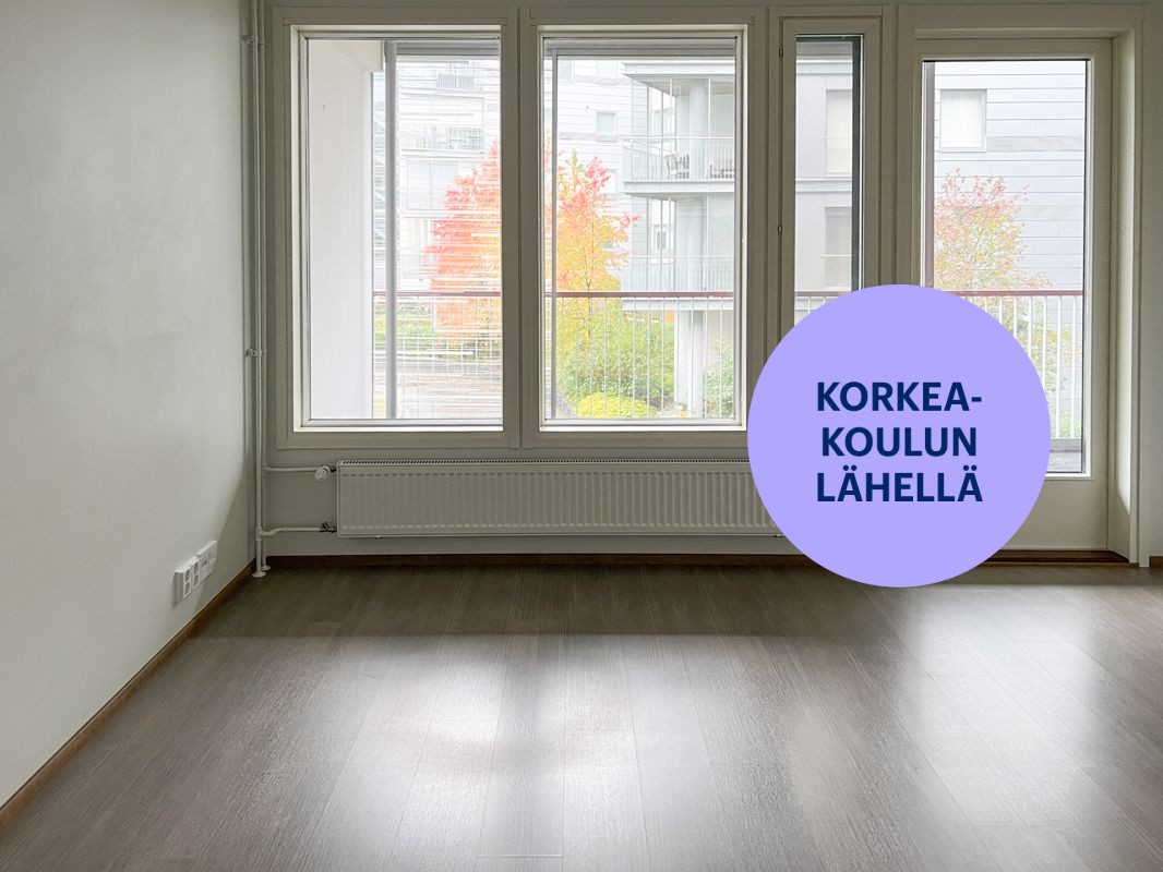 Kaksio, Jyväskylä, Keskusta
