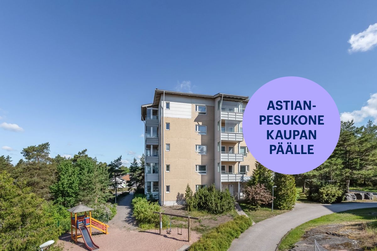 Kaksio, Turku, Pääskyvuori