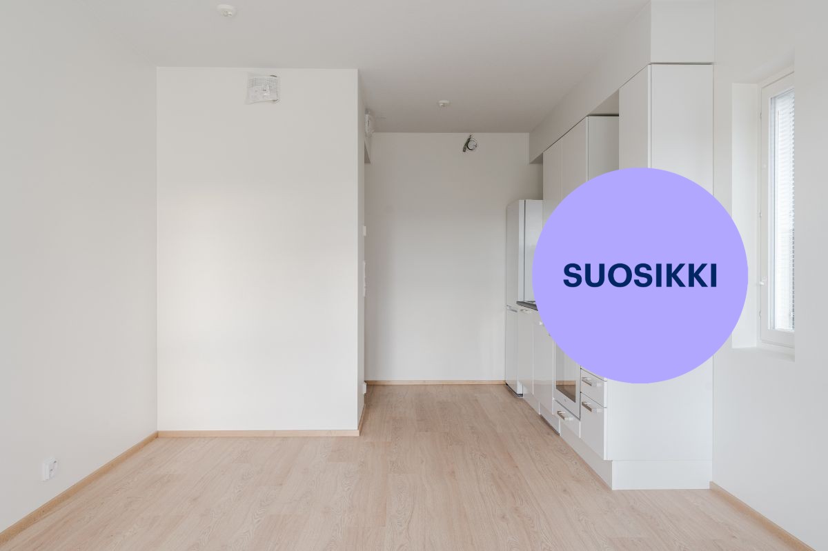 Kaksio, Turku, Kupittaa