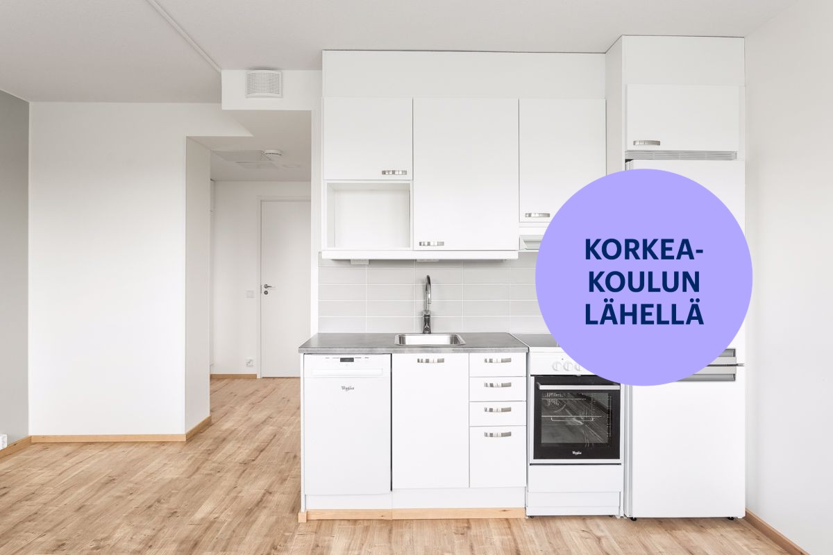Yksiö, Hämeenlinna, Keskusta