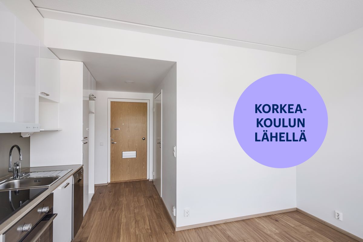 Yksiö, Turku, Pääskyvuori