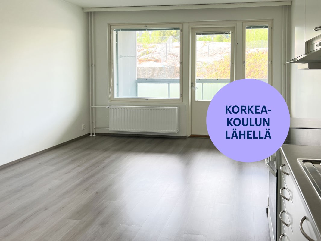 Yksiö, Kuopio, Puijonlaakso