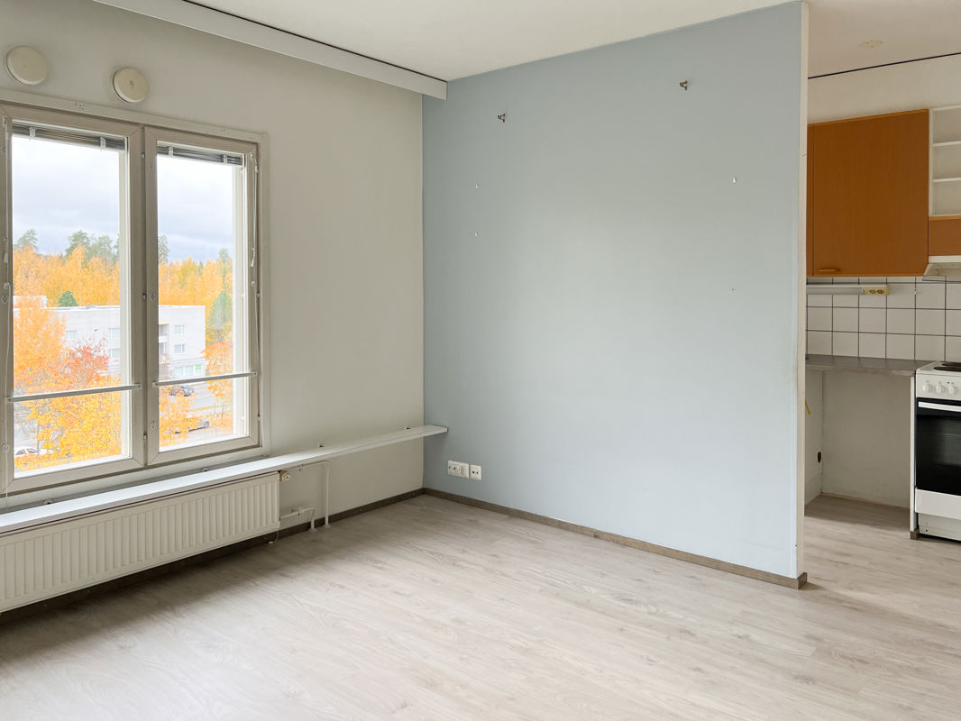 1-bedroom apartment, Kuopio, Petonen