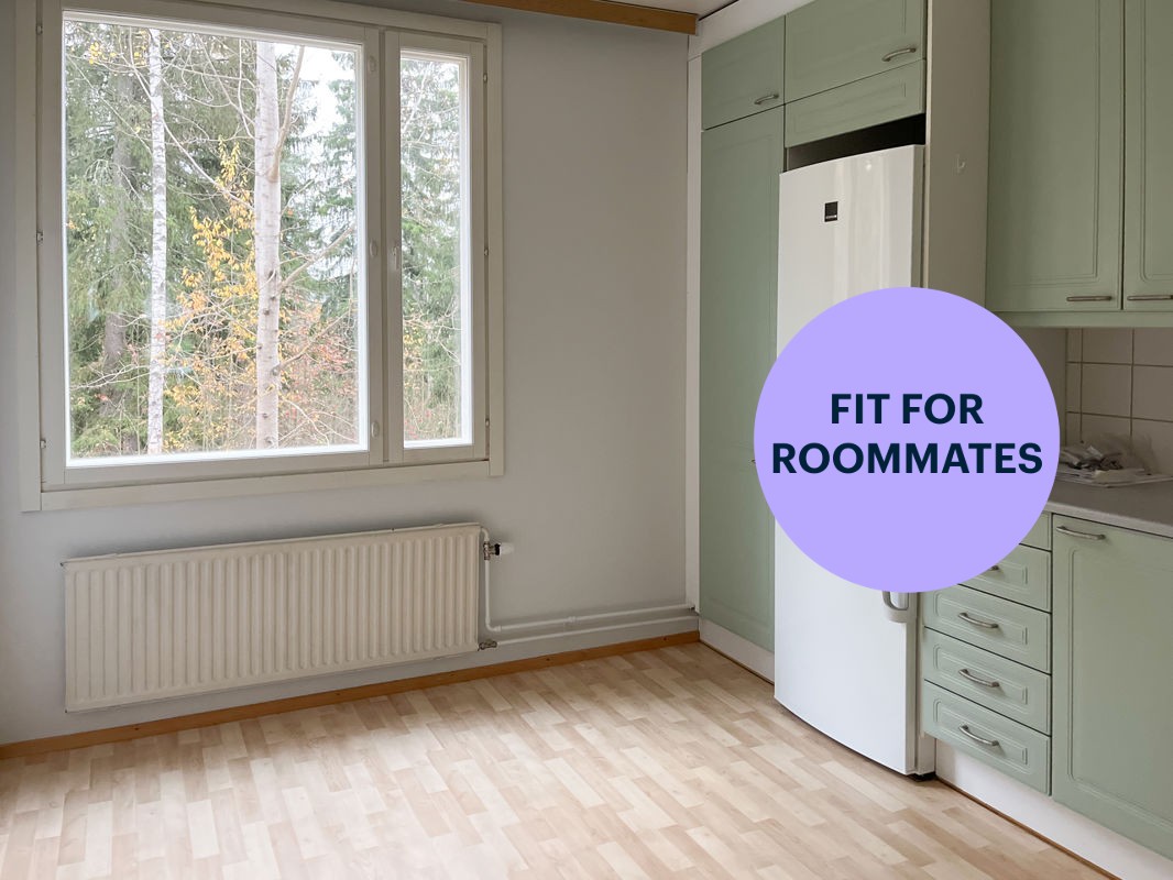1-bedroom apartment, Hämeenlinna, Kettumäki