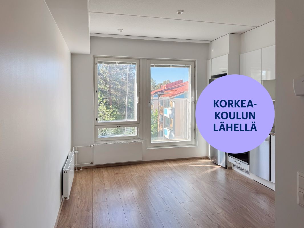 Yksiö, Turku, Pääskyvuori