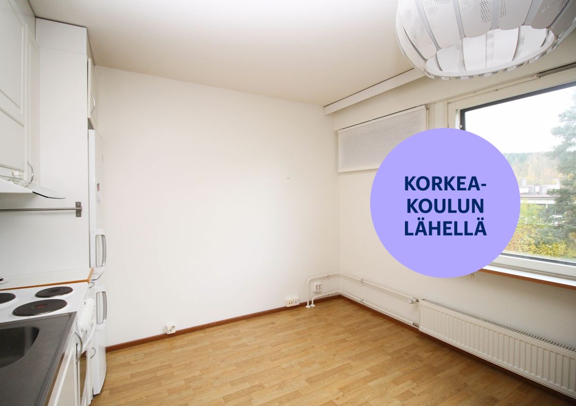 Yksiö, Kuopio, Puijonlaakso
