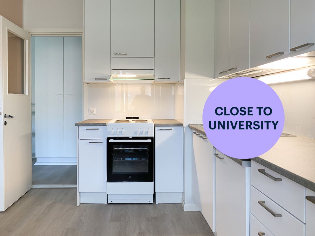 1-bedroom apartment, Tampere, Tammela
