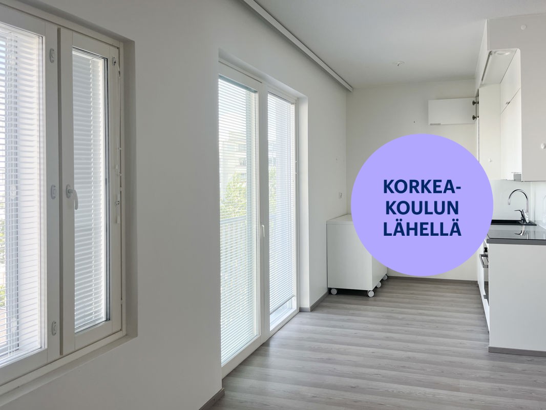 Kaksio, Turku, Kupittaa