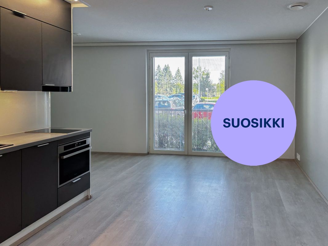 Yksiö, Hämeenlinna, Keskusta