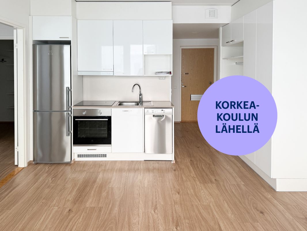 Kaksio, Turku, Pääskyvuori