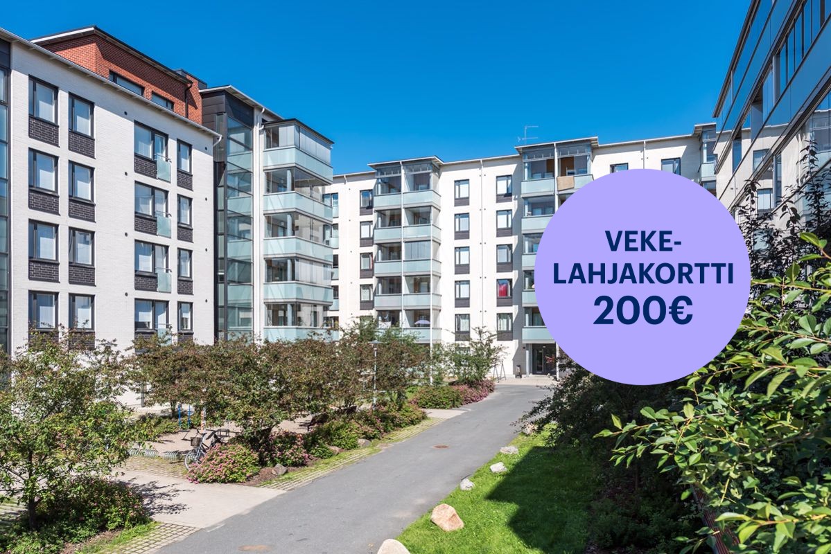Yksiö, Oulu, Välivainio