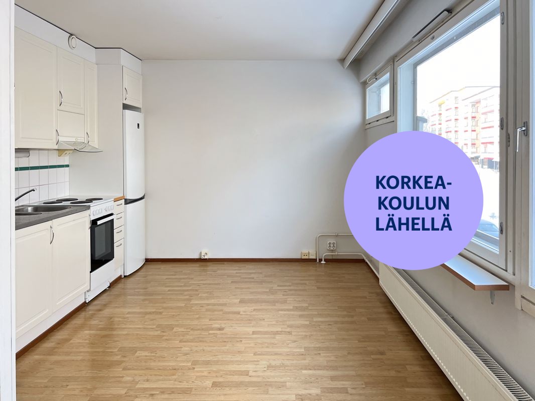 Yksiö, Kuopio, Puijonlaakso