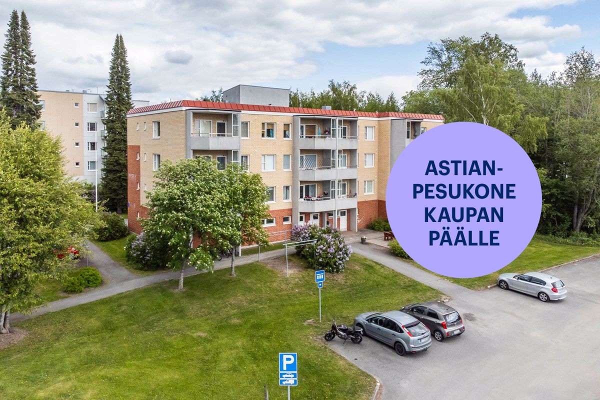 Kaksio, Hämeenlinna, Keinusaari