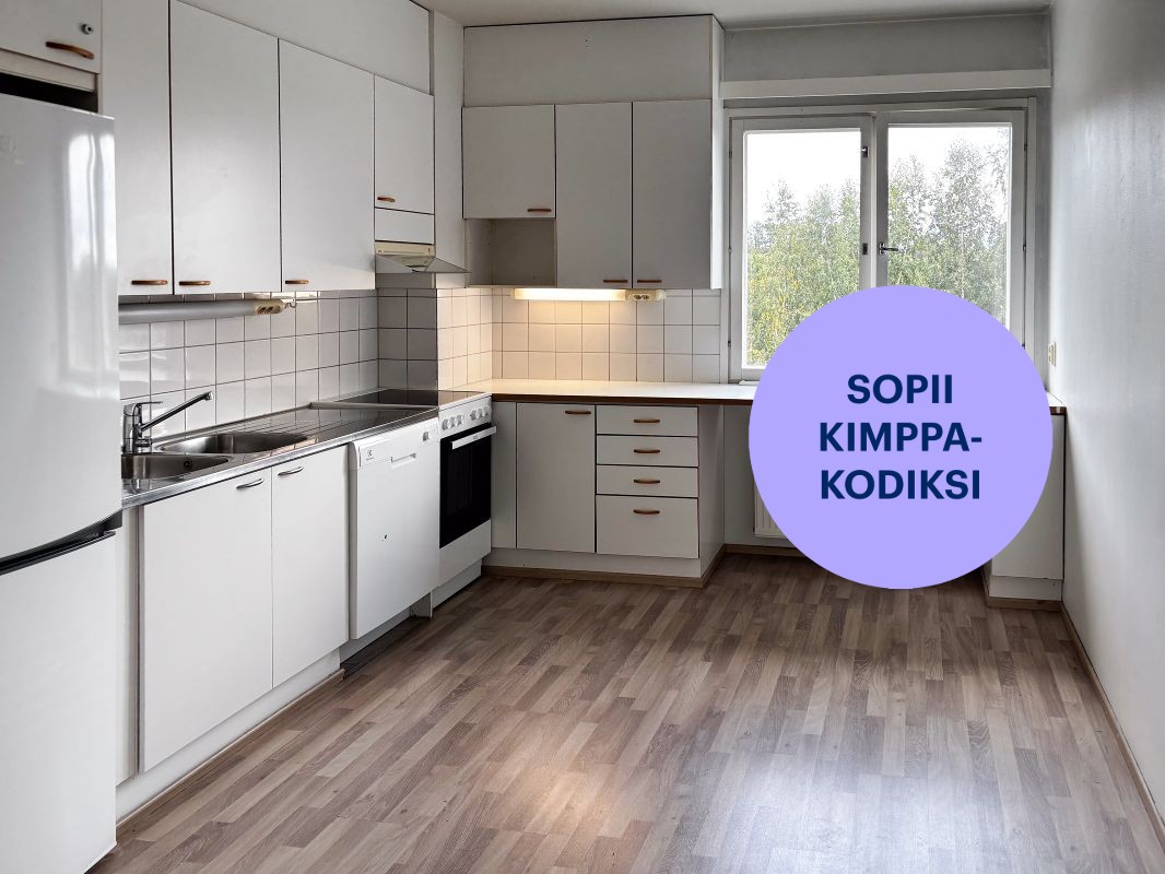 Kolmio, Hämeenlinna, Keinusaari