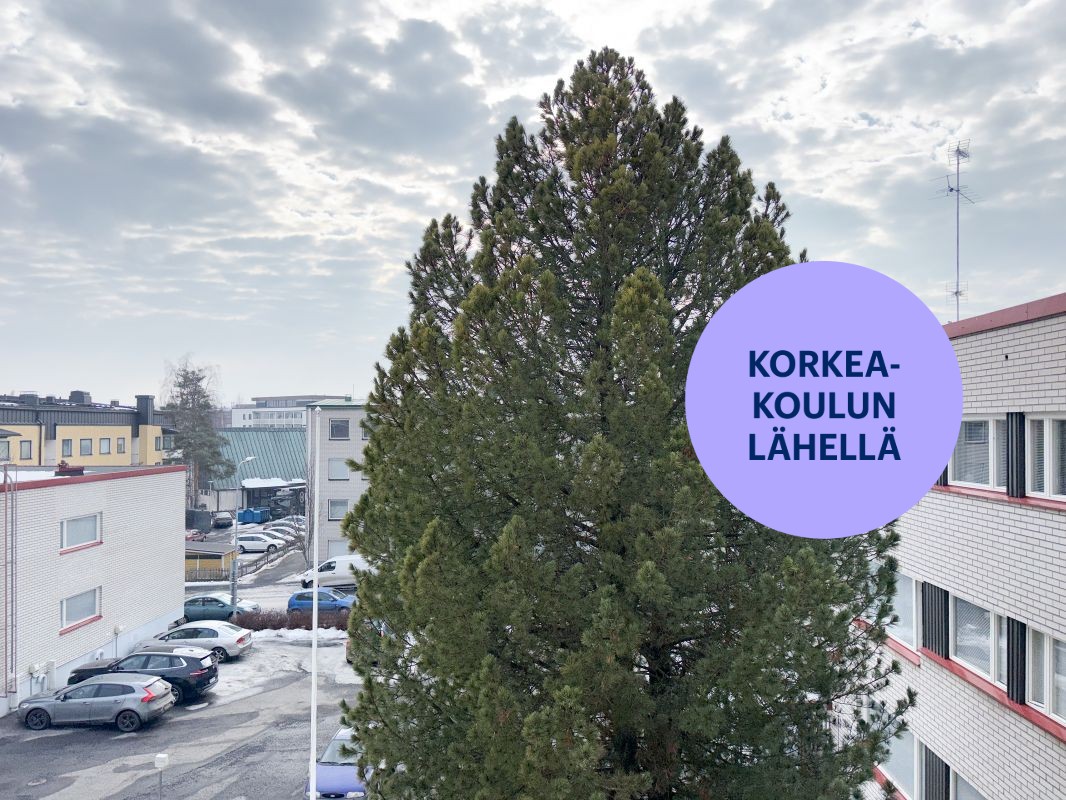 Yksiö, Jyväskylä, Keskusta