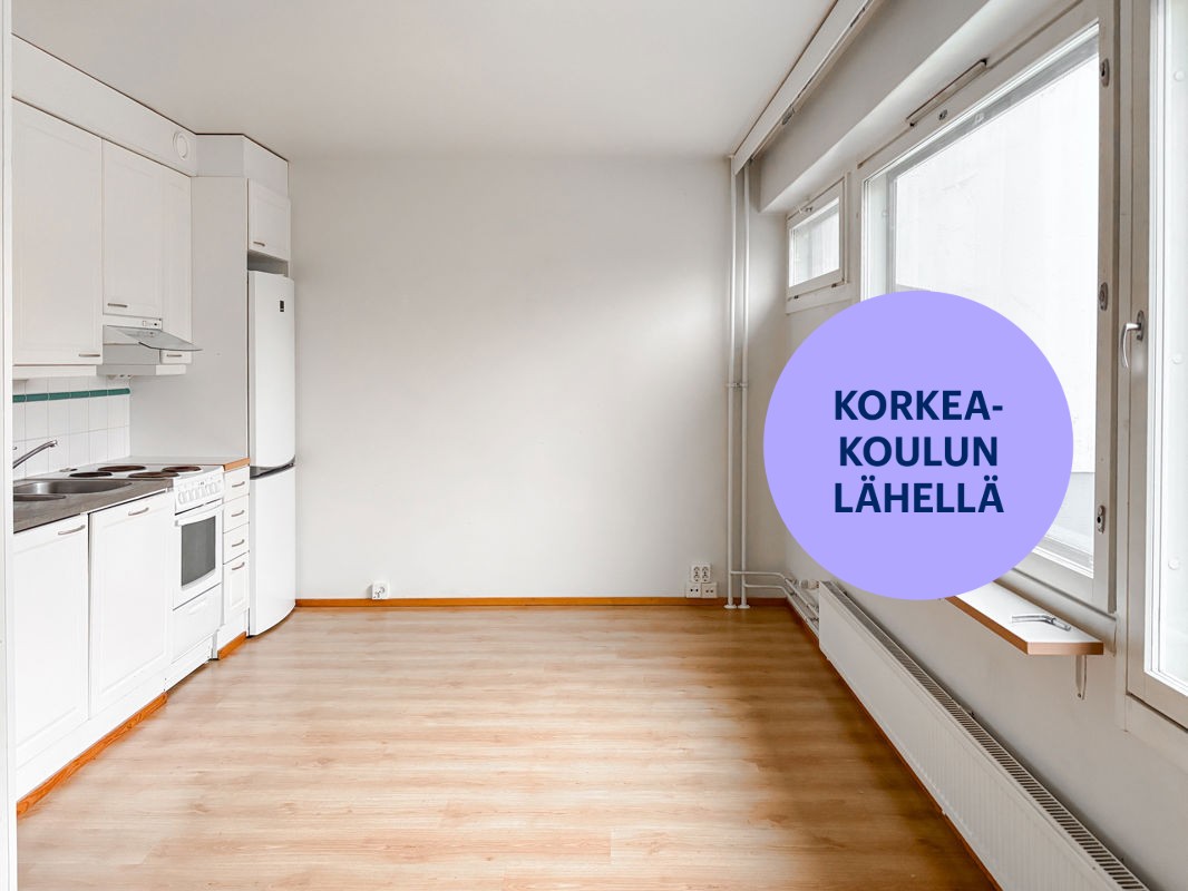 Yksiö, Kuopio, Puijonlaakso