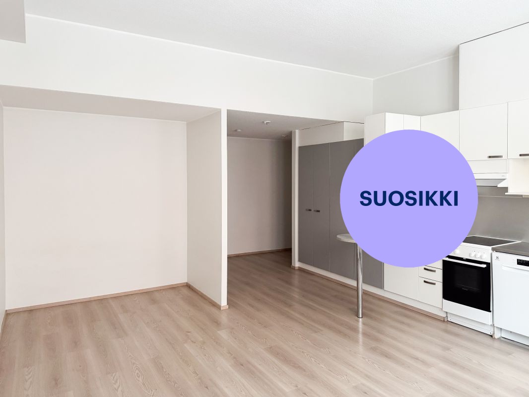 Yksiö, Tampere, Keskusta