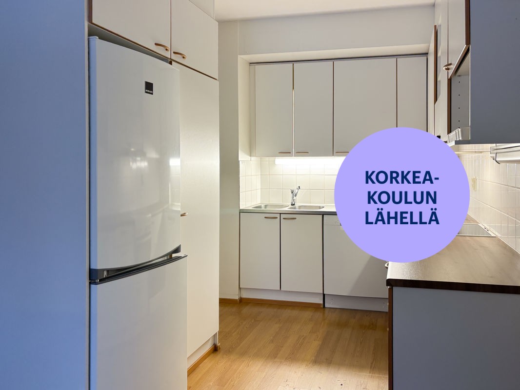 Kaksio, Oulu, Hiironen
