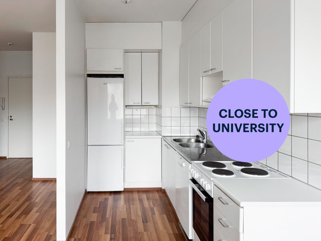 1 bedroom, Turku, Martti
