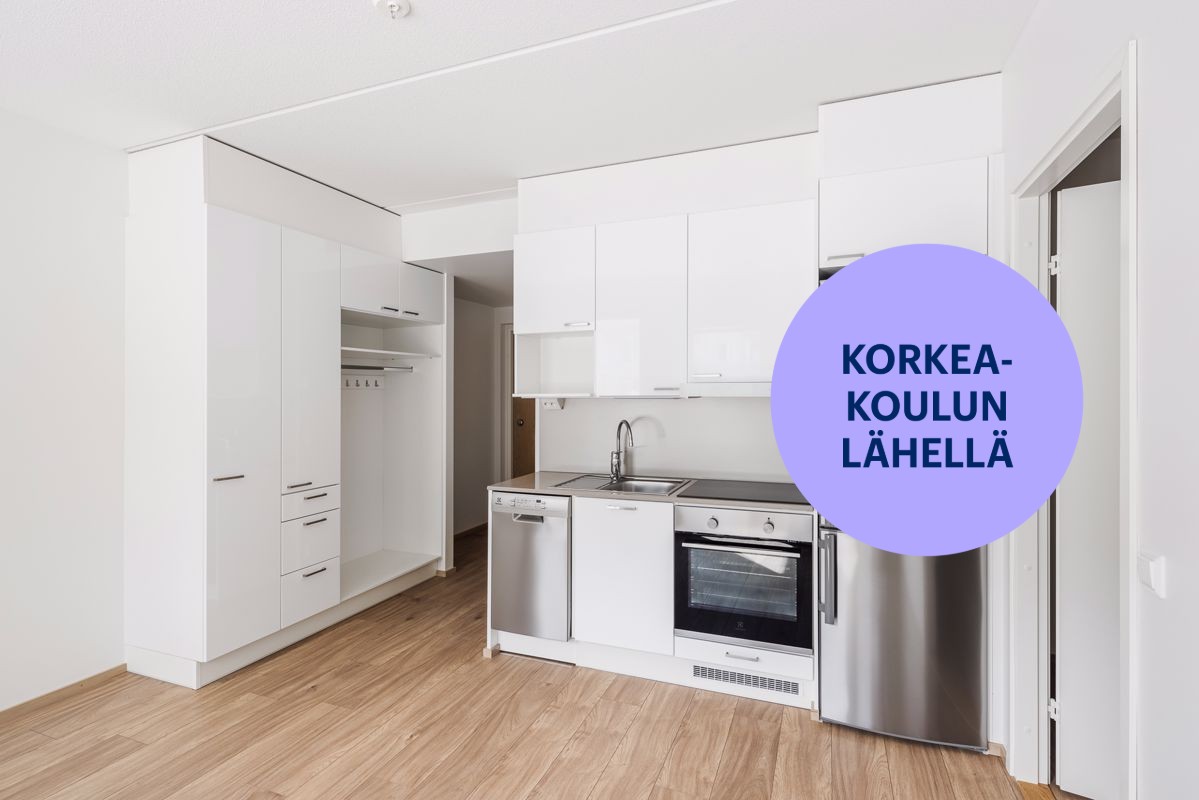 Kaksio, Turku, Pääskyvuori